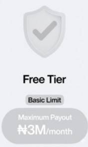 Tier 0