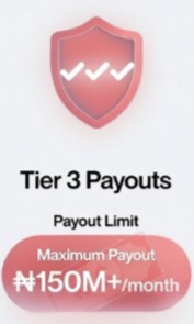 Tier 3